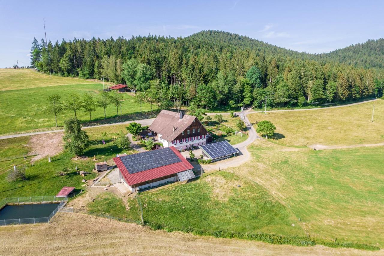 Klausenhansenhof Apartment
